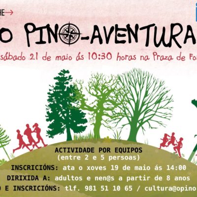 Pino-Aventura, unha proposta para fomentar o xogo en equipo, o exercicio e a agudeza mental